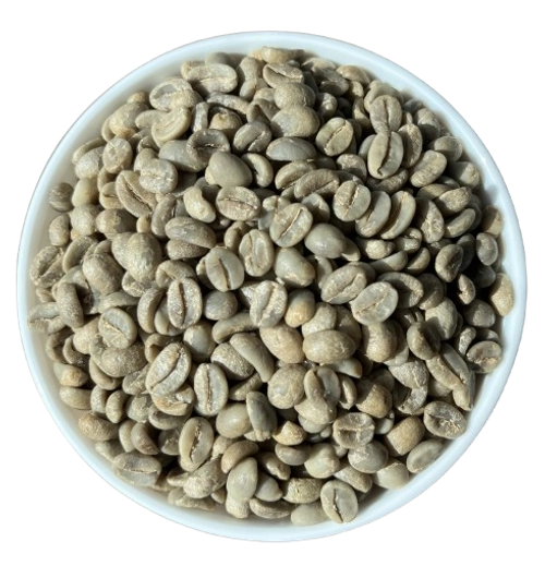 Arabica Plantation