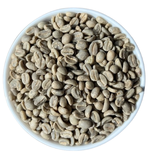 Arabica Plantation B