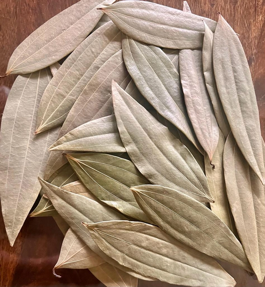 Bay Leaf - Tej Patta  Supreme HPS Without Stemp