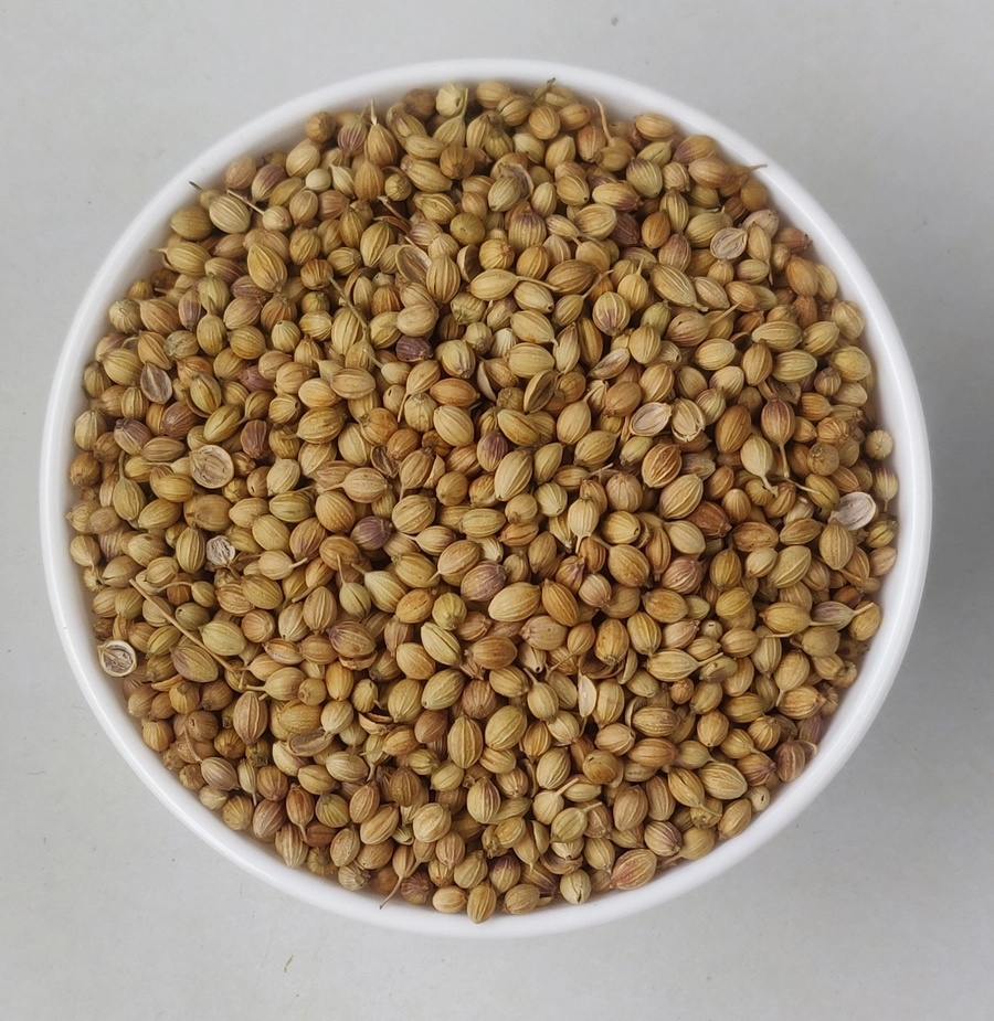 Coriander Seeds - Eagle