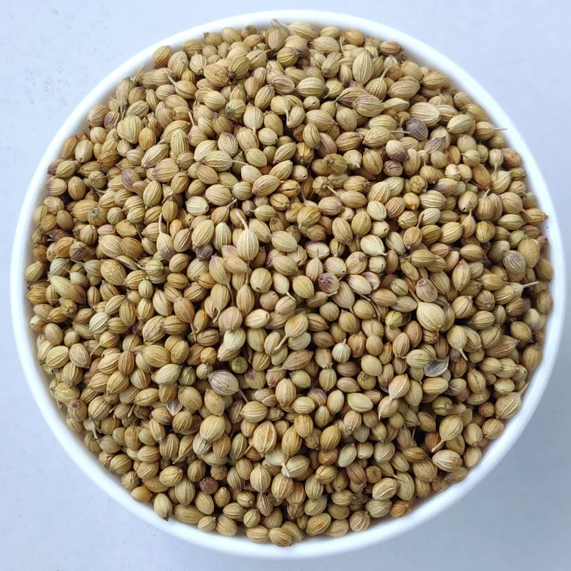 Coriander Seeds - Scooter 