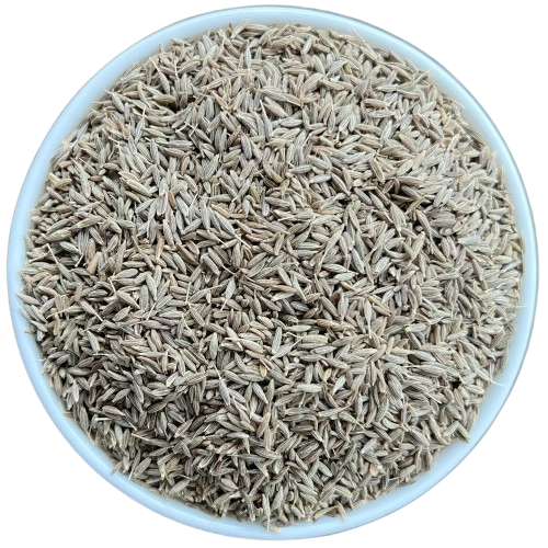 Cumin Seeds - IPM