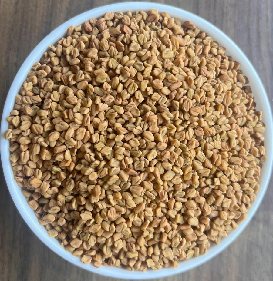 Fenugreek  Bold - USA