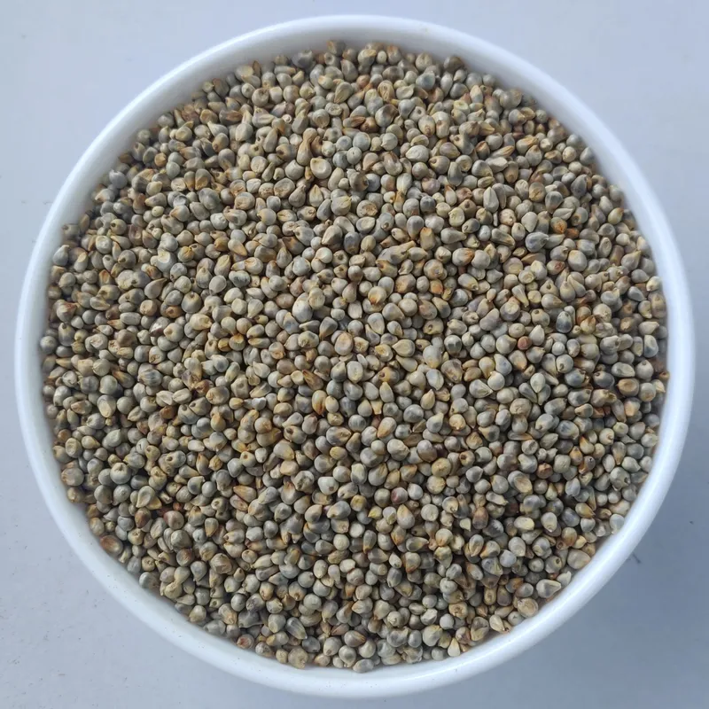 Green Millet Bold