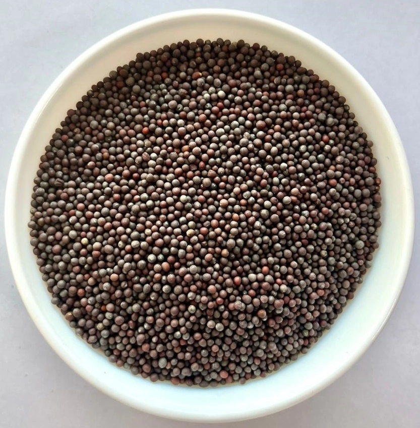 Mustard Seeds