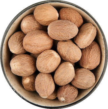 Nutmeg ABCD - Without Shell