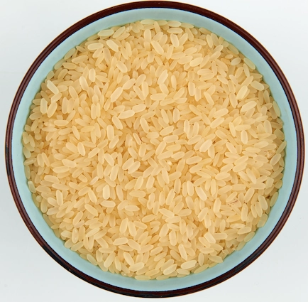 IR 8 Rice