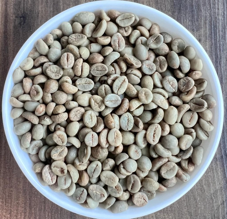 Robusta Parchment