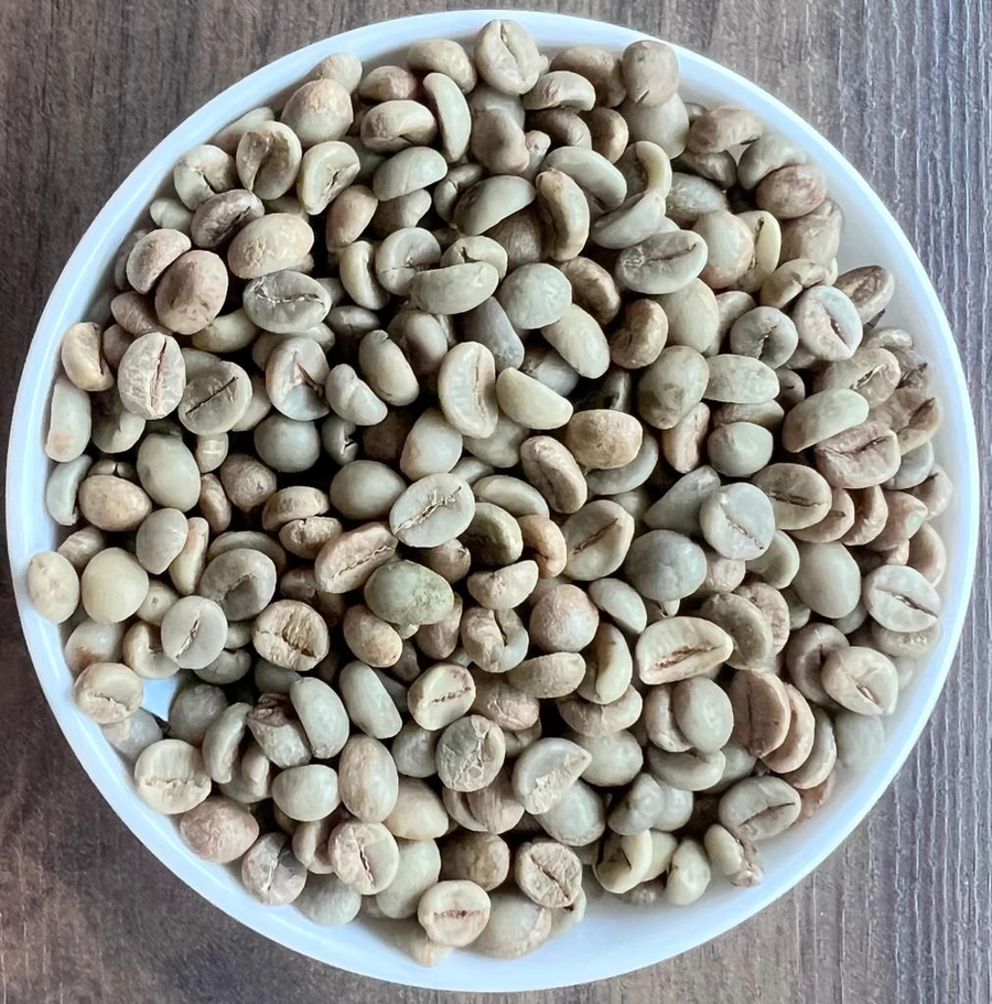 Robusta Parchment AA