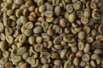 Robusta Parchment AB