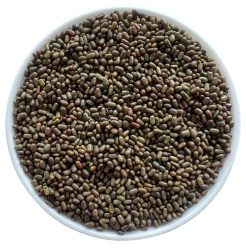 Sesbania Seeds