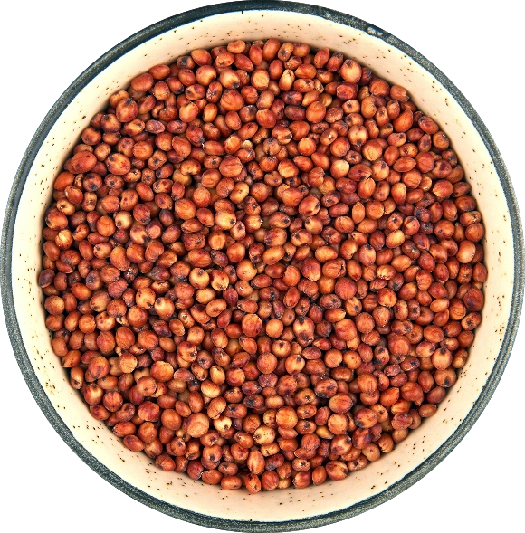Sorghum Red