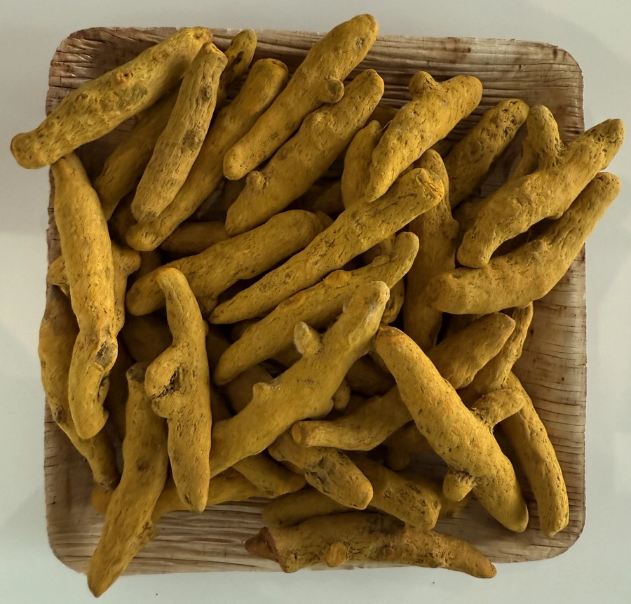 Turmeric Finger - Europe
