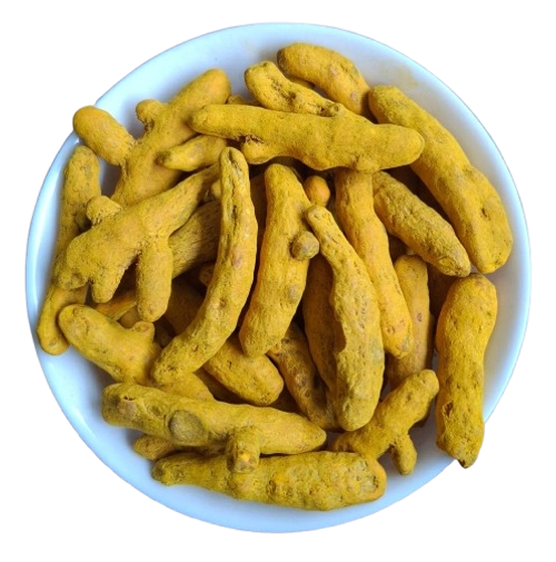 Turmeric Finger - Europe