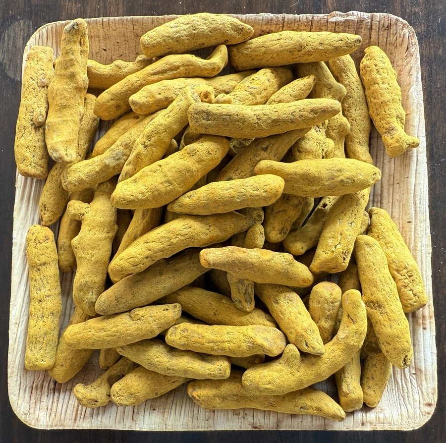 Turmeric Finger - Good Grade