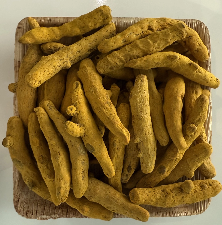 Turmeric Finger