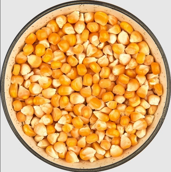 Yellow Corn Small